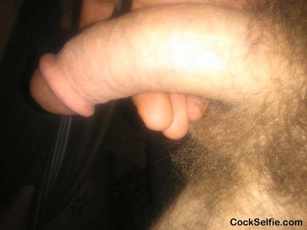  - Cock Selfie