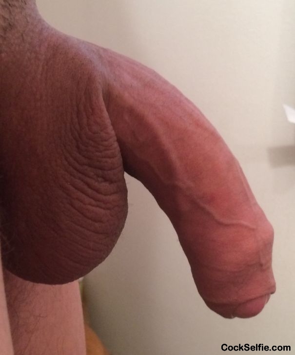  - Cock Selfie