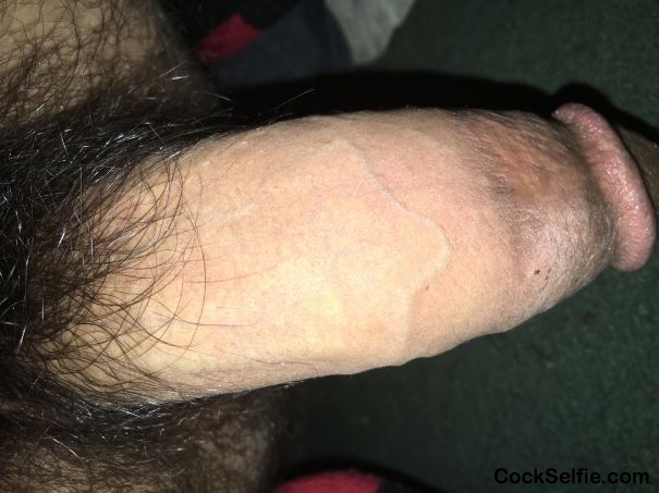  - Cock Selfie