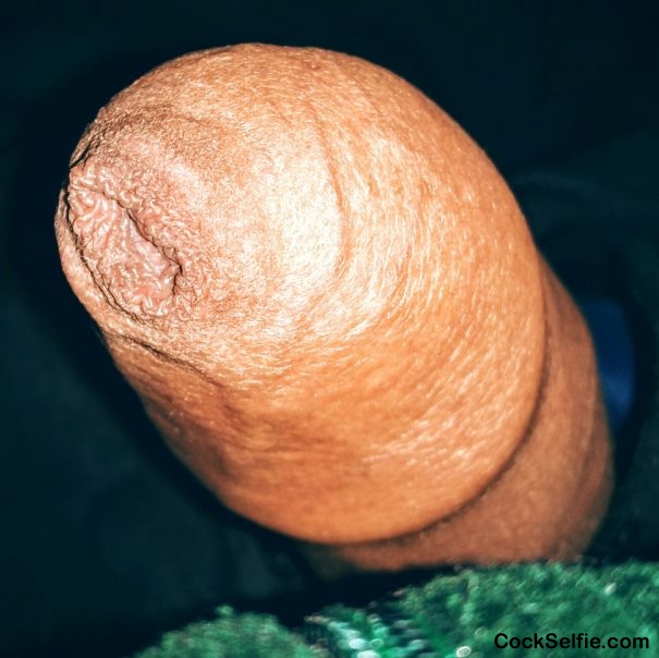 Close look - Cock Selfie