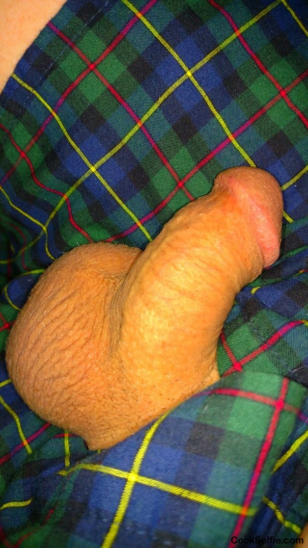 My soft cock. - Cock Selfie