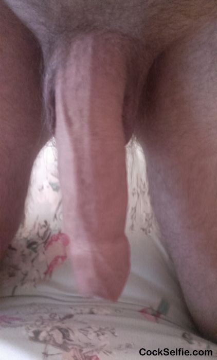 morning - Cock Selfie