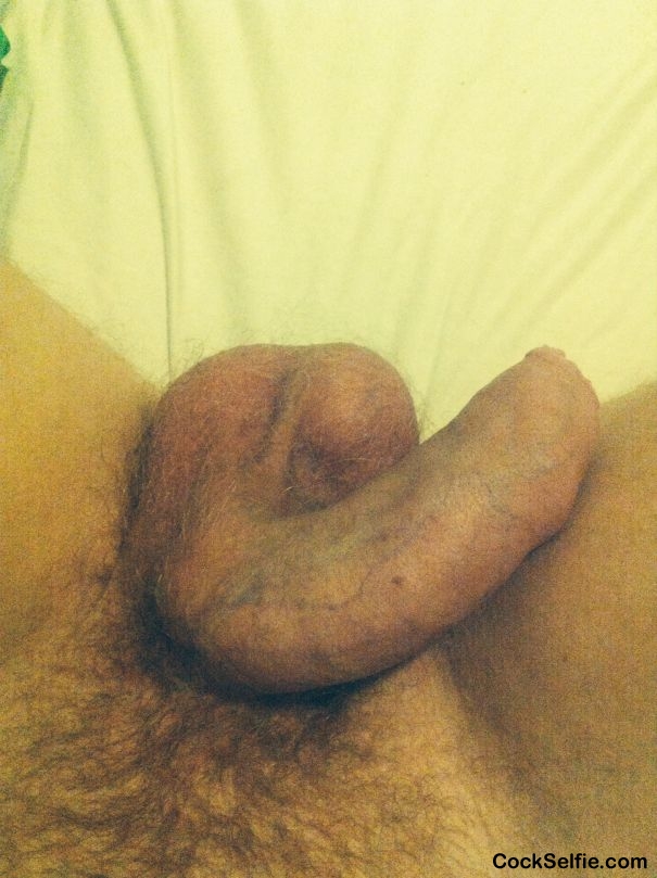 Need cum sprayed all over my cock - Cock Selfie