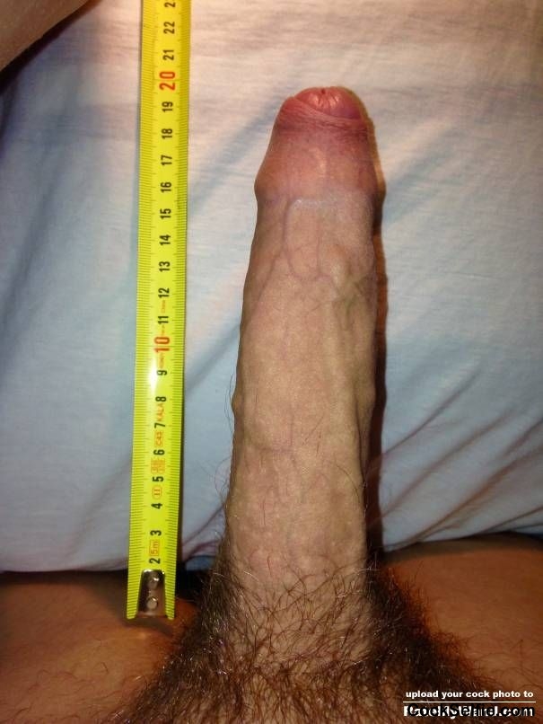 is it big enough? - Cock Selfie