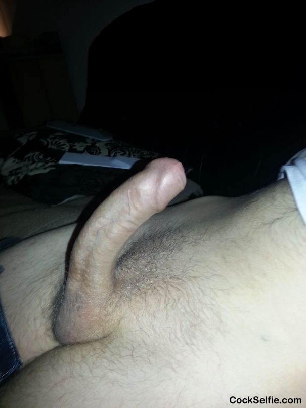  - Cock Selfie