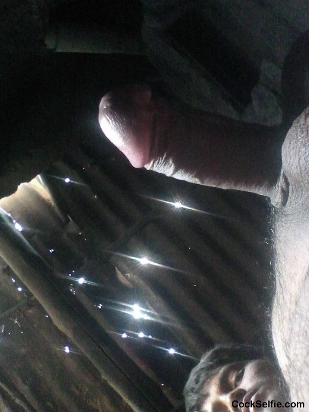 Cock pic - Cock Selfie