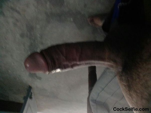 this is hungry for pussy - Cock Selfie