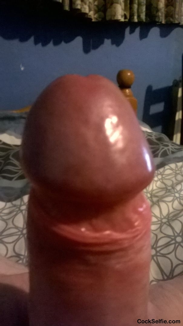 shinny - Cock Selfie