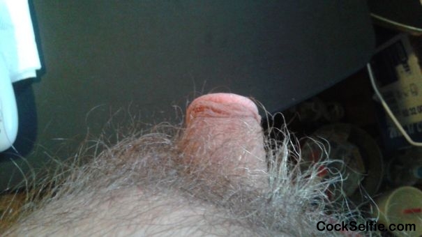  - Cock Selfie