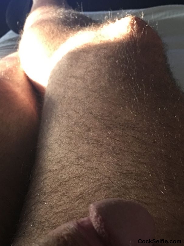 Leg - Cock Selfie