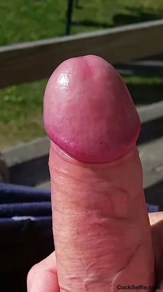 Nice head? - Cock Selfie