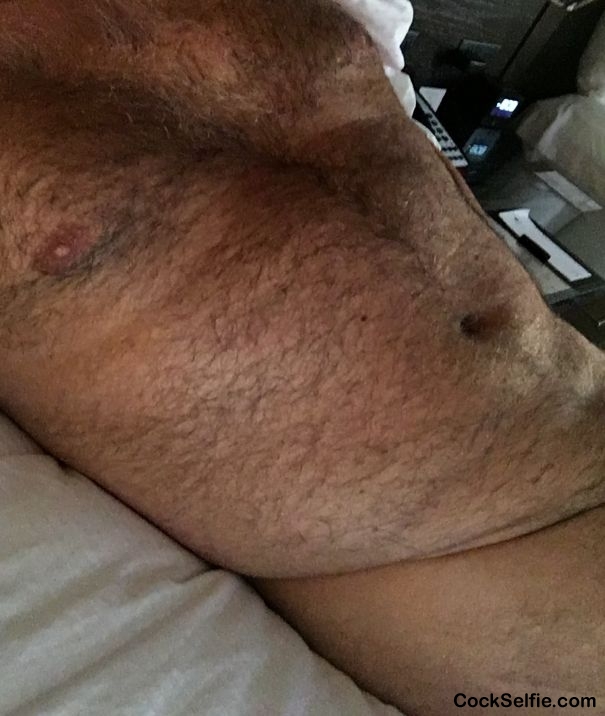 Hairy - Cock Selfie