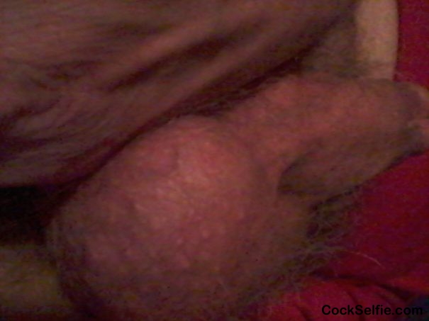  - Cock Selfie