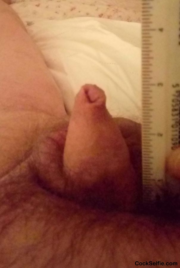 Feeling nice and big tonight - Cock Selfie