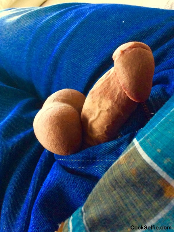 My Cock - Cock Selfie