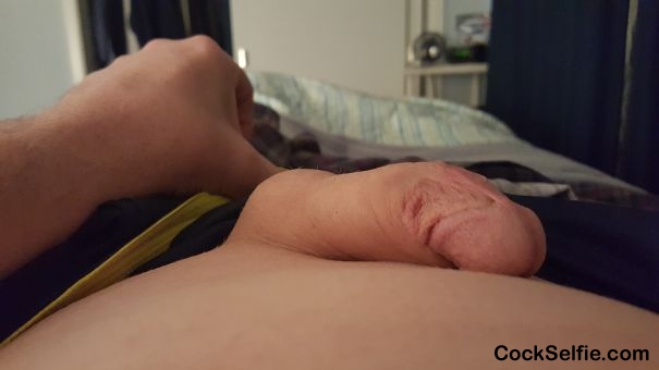 Bald cock - Cock Selfie