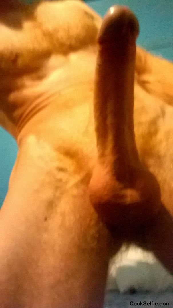 hard as fuck - Cock Selfie