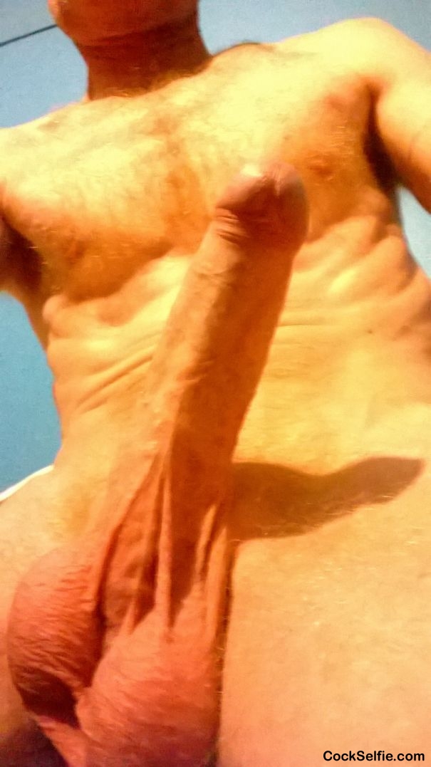 hard - Cock Selfie