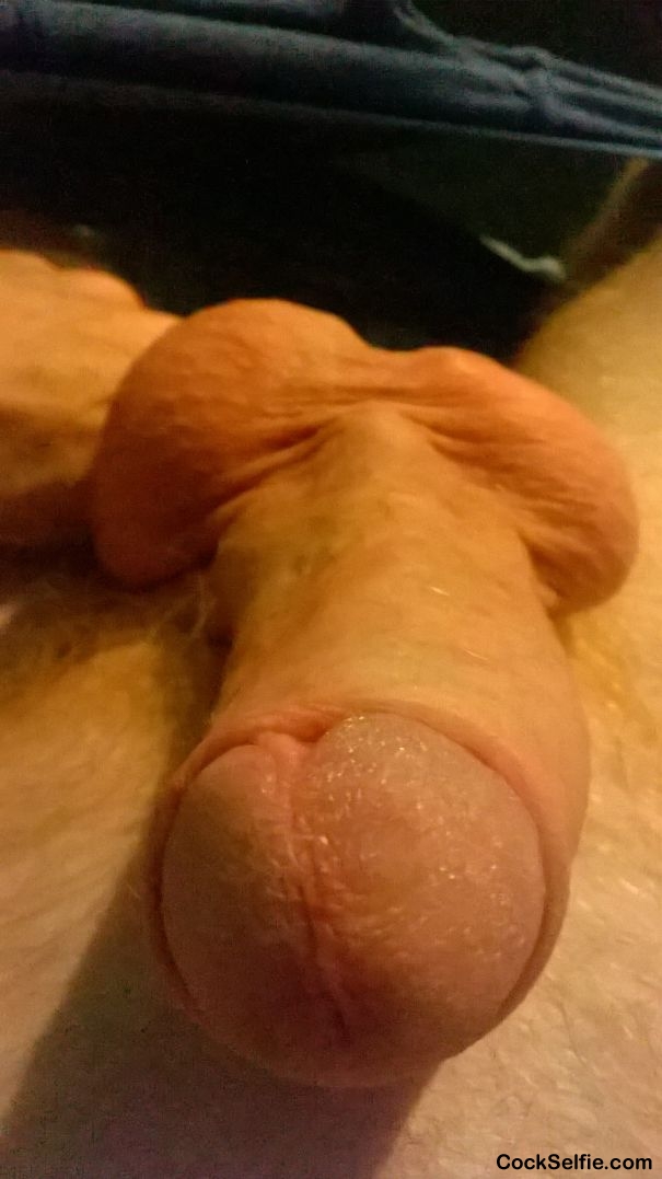  - Cock Selfie