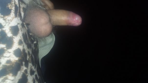  - Cock Selfie