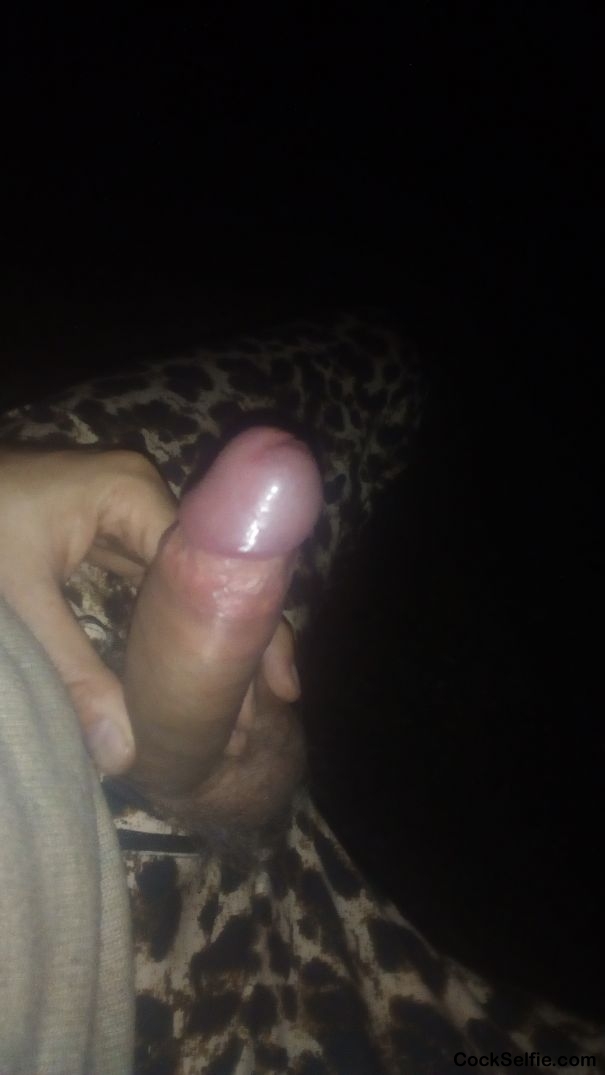  - Cock Selfie