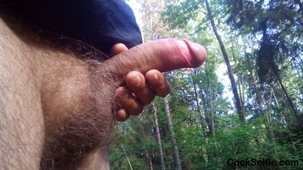  - Cock Selfie