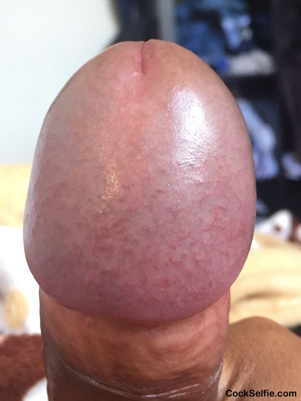 Who wants it - Cock Selfie