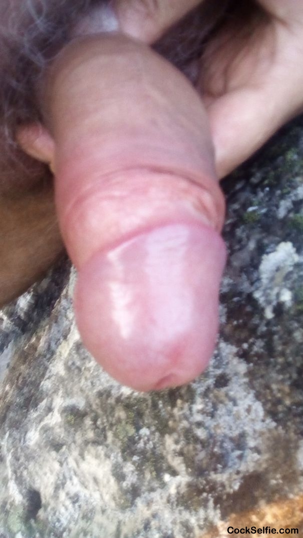  - Cock Selfie