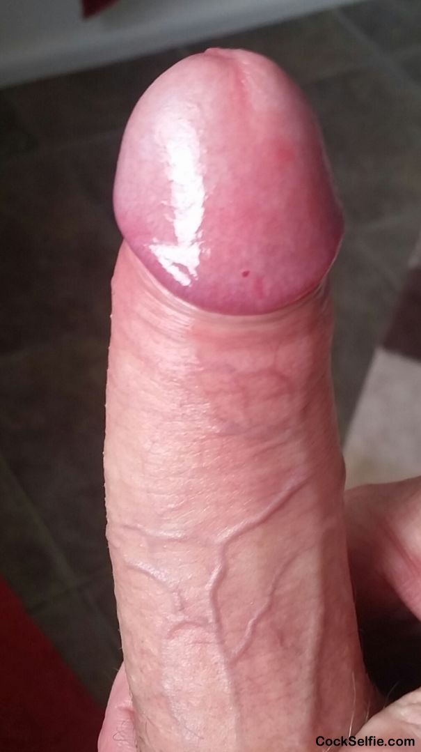 Who'd like to sukk and fukk it? - Cock Selfie