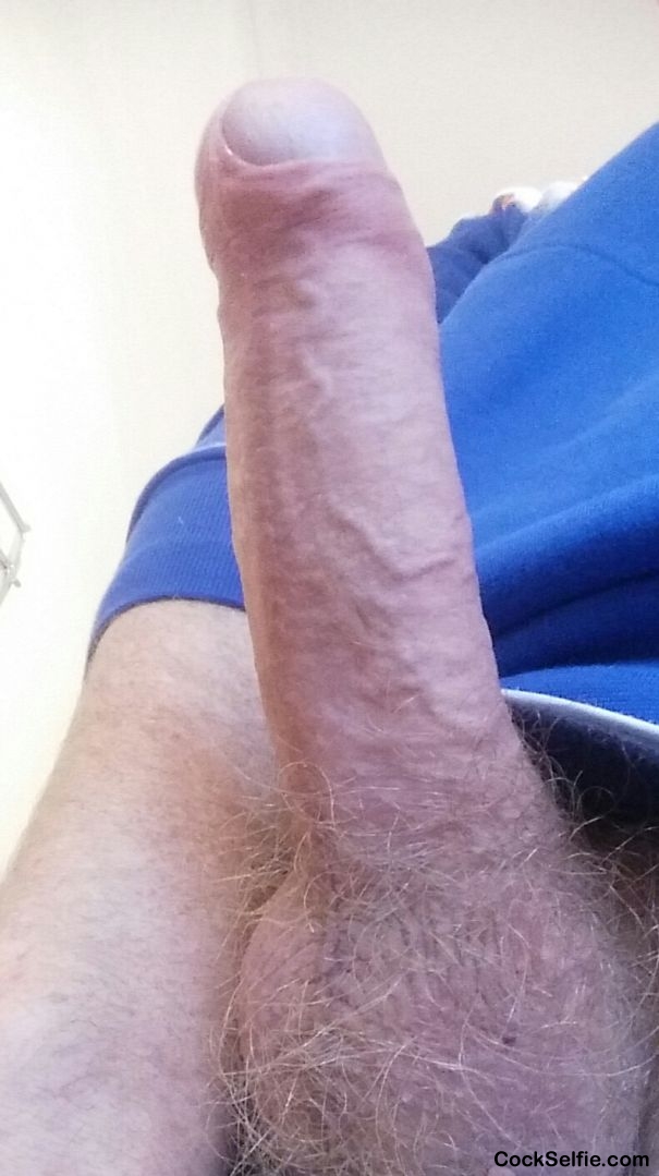 How's it look? - Cock Selfie