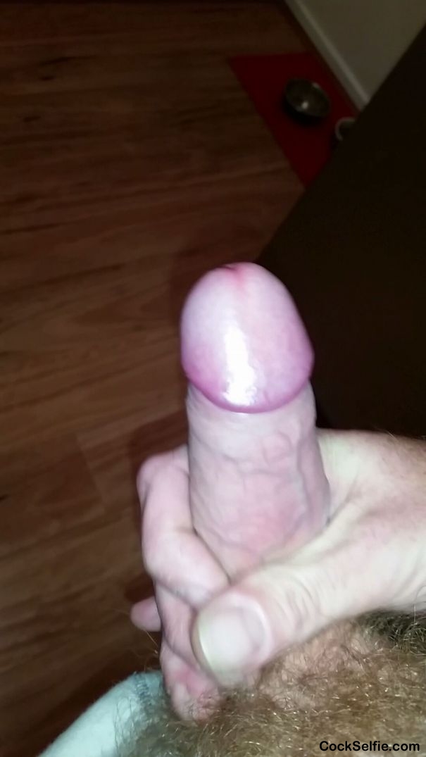 Who'll suck me? - Cock Selfie