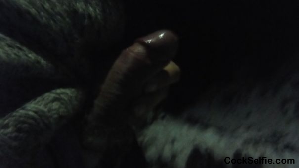  - Cock Selfie