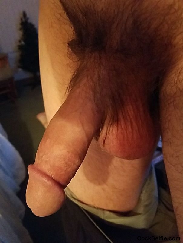 Thoughts - Cock Selfie