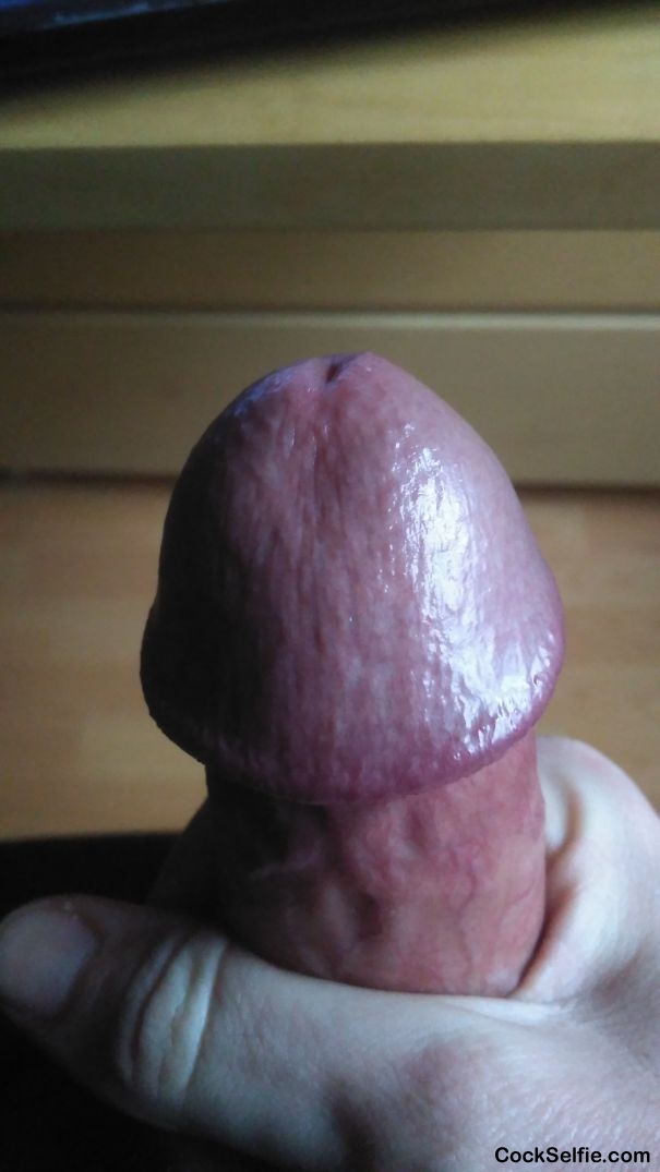  - Cock Selfie