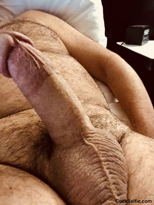 Erect - Cock Selfie