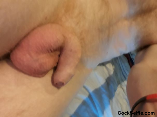 Sleeping - Cock Selfie