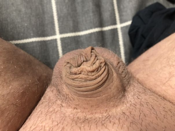  - Cock Selfie