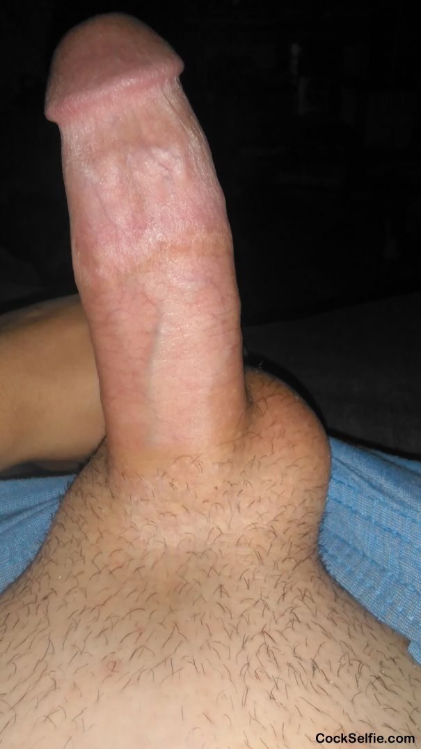  - Cock Selfie