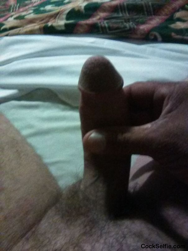  - Cock Selfie