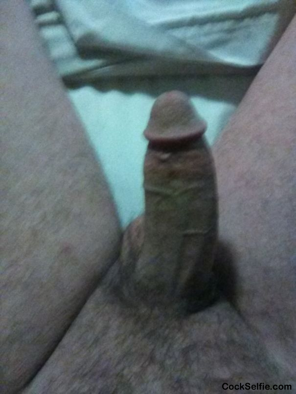  - Cock Selfie