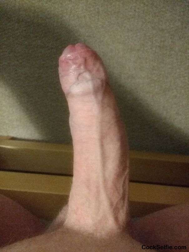  - Cock Selfie