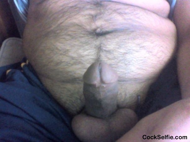 im so hairy - Cock Selfie