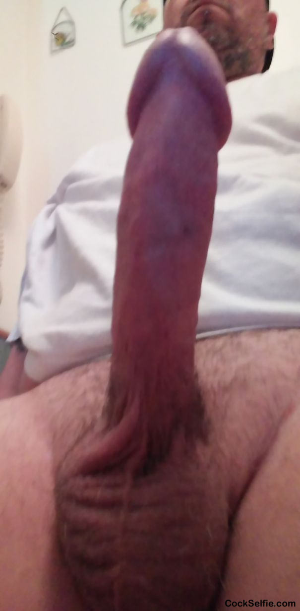 my head throbbing - Cock Selfie