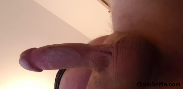 Horny - Cock Selfie