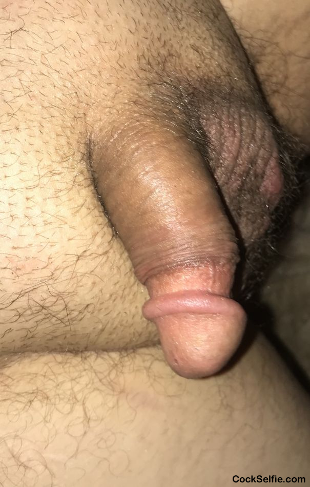  - Cock Selfie