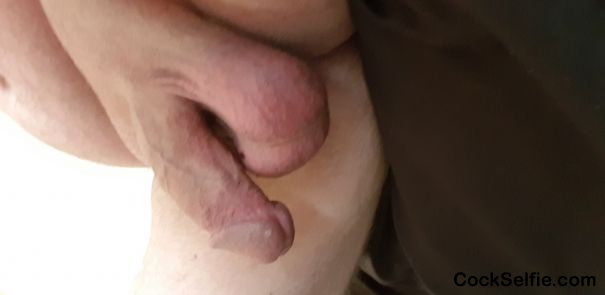 Make me hard empty my balls - Cock Selfie