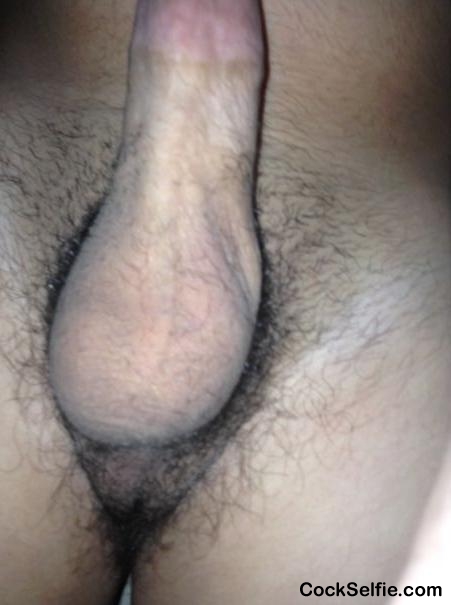 Anyone want to lick/suck my balls? - Cock Selfie