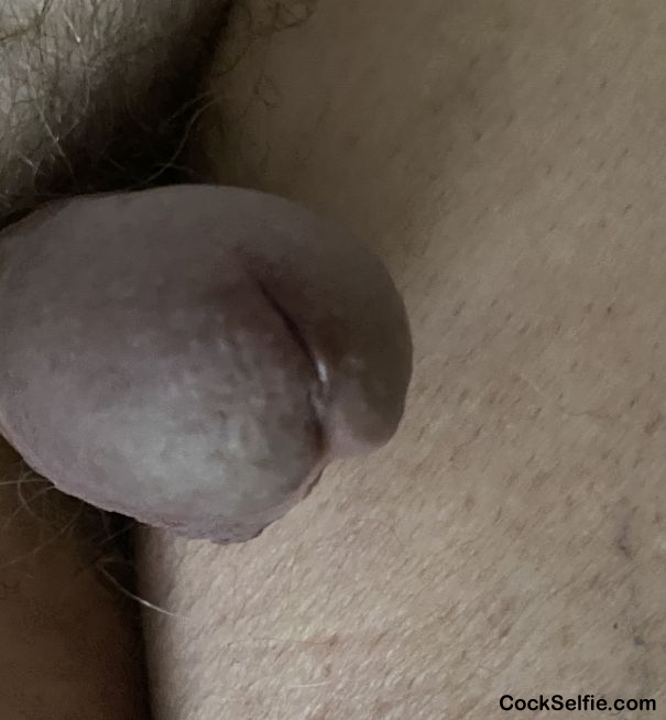 Your wet tongue on this - Cock Selfie