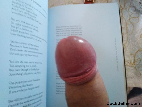 Morning Poetry Reading - Cock Selfie