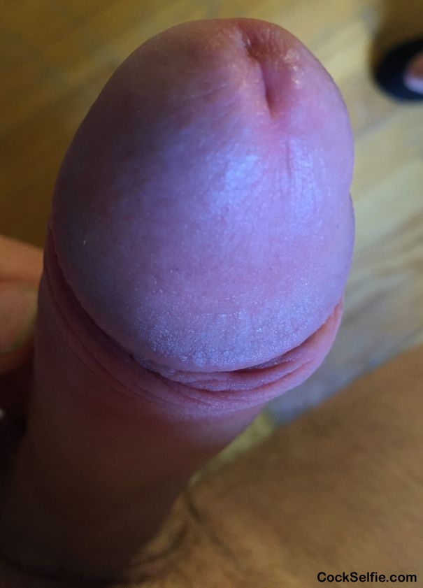 Almost up to my face - Cock Selfie